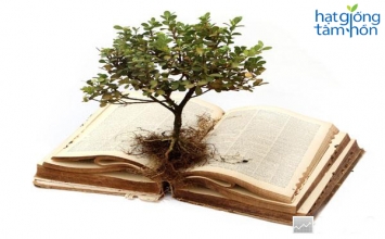Cội rễ của sự trưởng thành